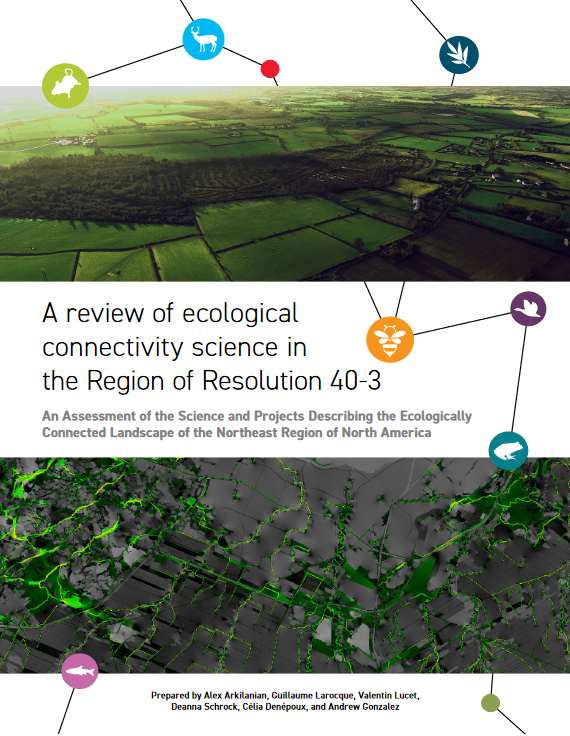 complete-report-image