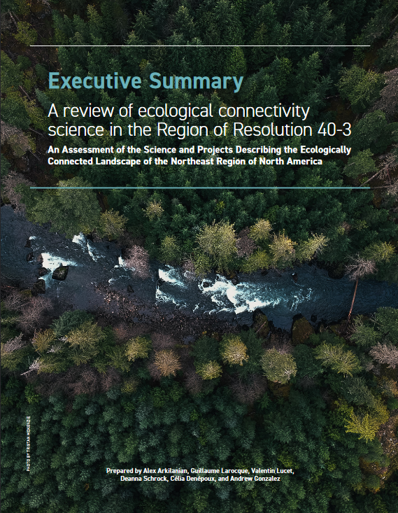 summary-en-report-image