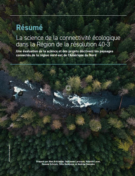 summary-fr-report-image